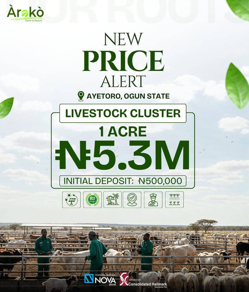 Commercial Hub Parcel